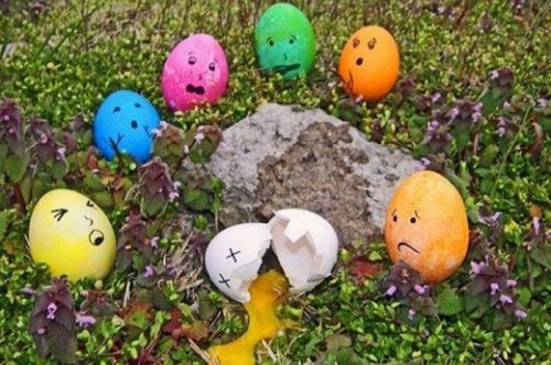 Çılgın Yumurtalar 14