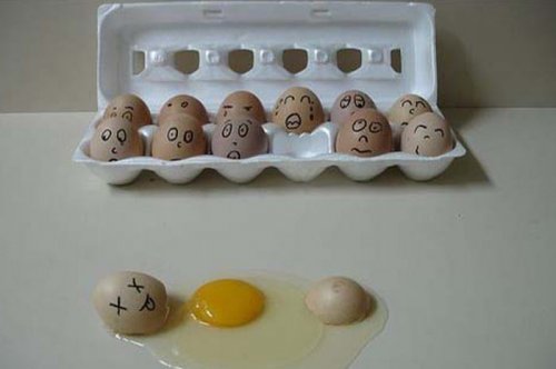 Çılgın Yumurtalar 18