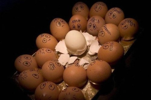 Çılgın Yumurtalar 19