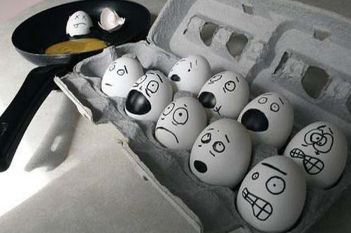 Çılgın Yumurtalar 29