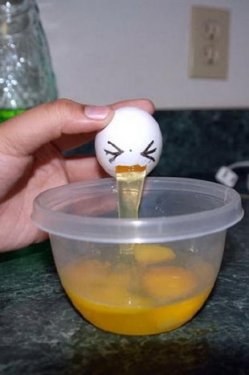 Çılgın Yumurtalar 32