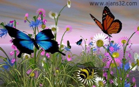 Muhteşem Kelebekler 9