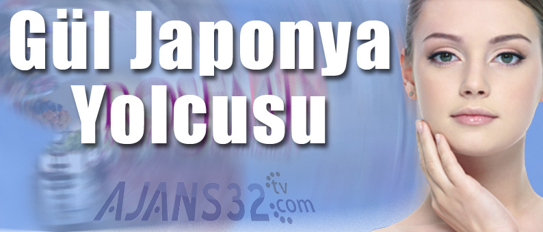 Gül Japonya Yolcusu