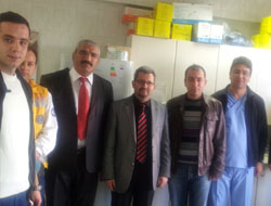 Şiddeti Yerinde İncelediler