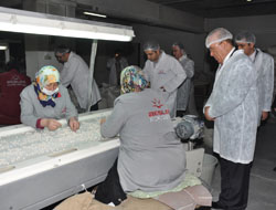 Tarım Bakanlığından 2 Milyon Hibe