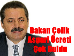 Çelik: Asgari Ücretle Geçinilir