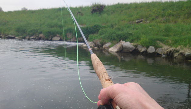 Balıkların Av Yasağı 15 Mart'ta Başlıyor