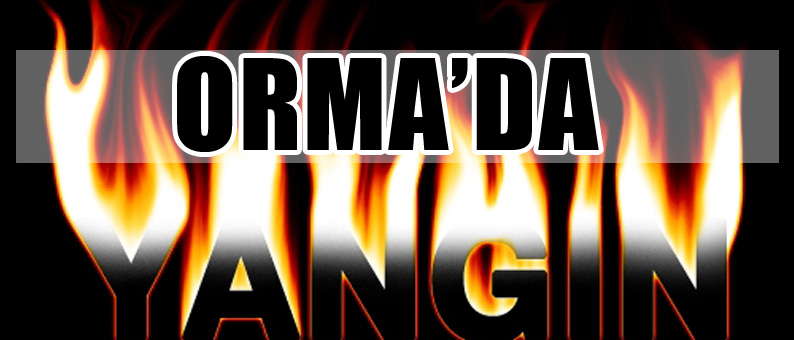 ORMA'da Yangın
