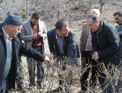 Kesme’de Yağ Gülü Yetiştiriciliği Toplantısı
