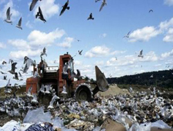 İsveç'te Çöp Bitti!