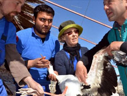 Dünya Buraya Koşuyor