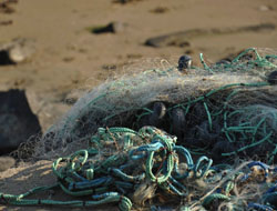8 Bin 600 Metre Balık Ağına El Konuldu