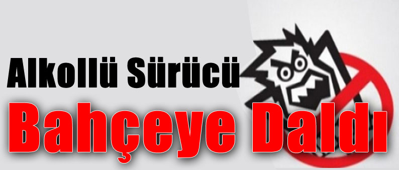 Bahçeye Daldı