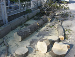 Encümenden Ağır Ceza