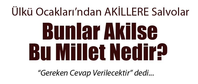 Bunlar Akilse Bu Millet Nedir?