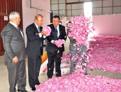 Dünyaya Güzel Koku Isparta’dan Yayılıyor