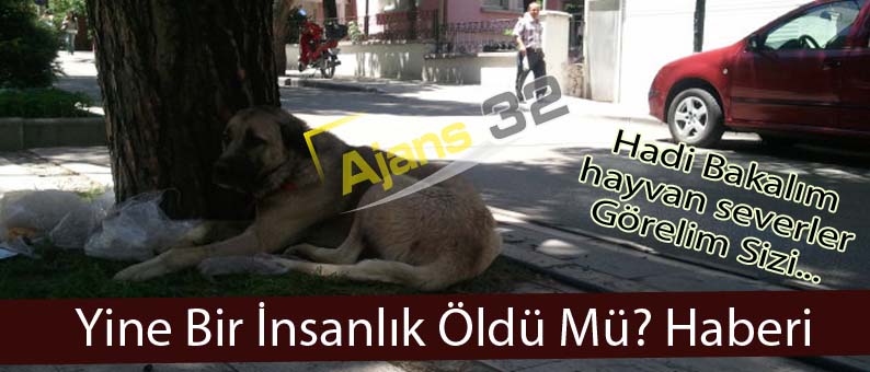 İnsanlık Ölmü Dedirten Bir Haber Daha!
