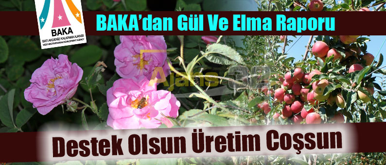 Destek Olsun Üretim Coşsun