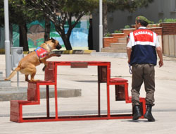 Jandarma 174 Yaşında