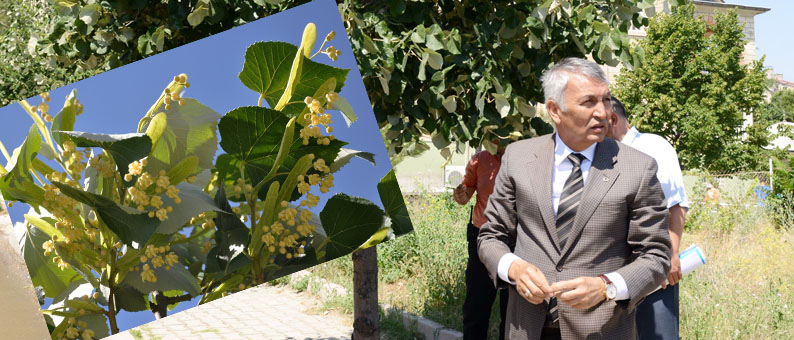 Günaydın’dan Vatandaşa Çağrı
