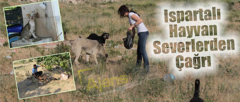 Ispartalı Hayvan Severlerden Çağrı