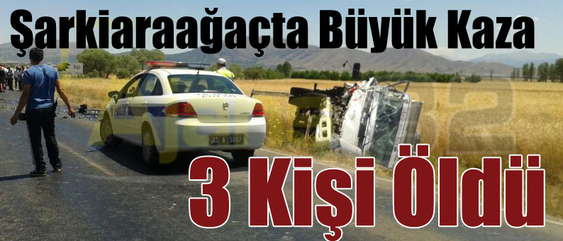 Şarkiaraağaçta Feci Kaza