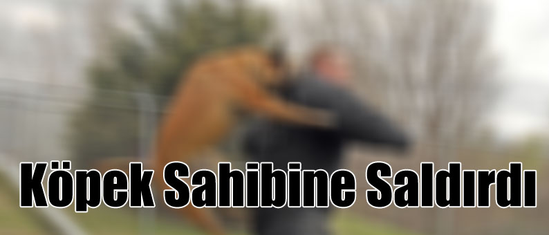 Köpek Sahibine Saldırdı