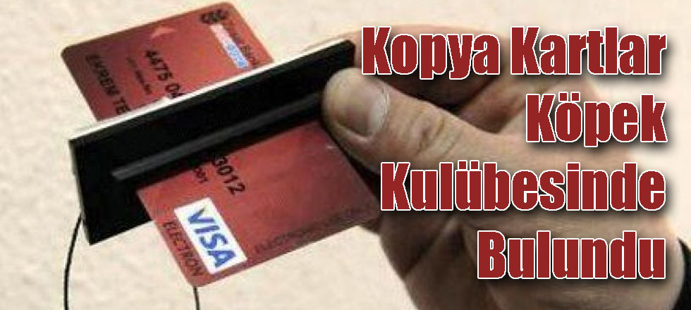 Kopya Kartlar Köpek Kulübesinde Bulundu