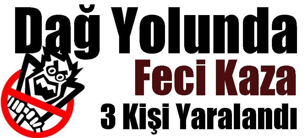 Feci Kaza 3 Yaralı