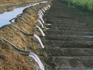 Sulama Birlikleri Borç Kıskacında!