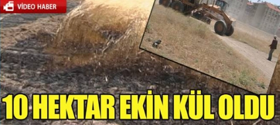 10 Hektar Ekili Arazi Kül Oldu