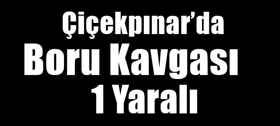 Çiçekpınar’da Boru Kavgası 1 Yaralı