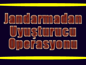 Jandarmadan Uyuşturucu Operasyonu