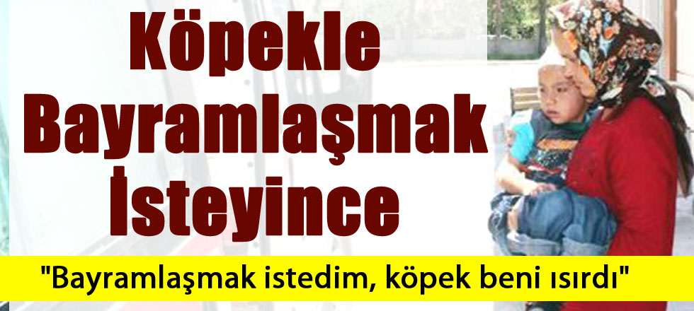 Sen Misin Köpekle Bayramlaşmak İsteyen