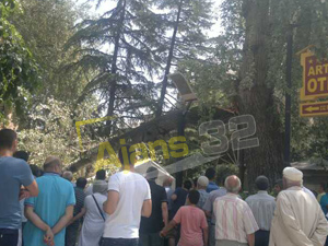 Mimar Sinan Camii'nde Çınar Paniği