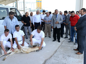 Nazar Değmesin Diye...