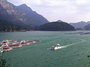 Ya Güzellikle, Yada Zorlukla