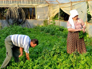 Tarımda Çalışan Başına Katma Değerde 12’nciyiz