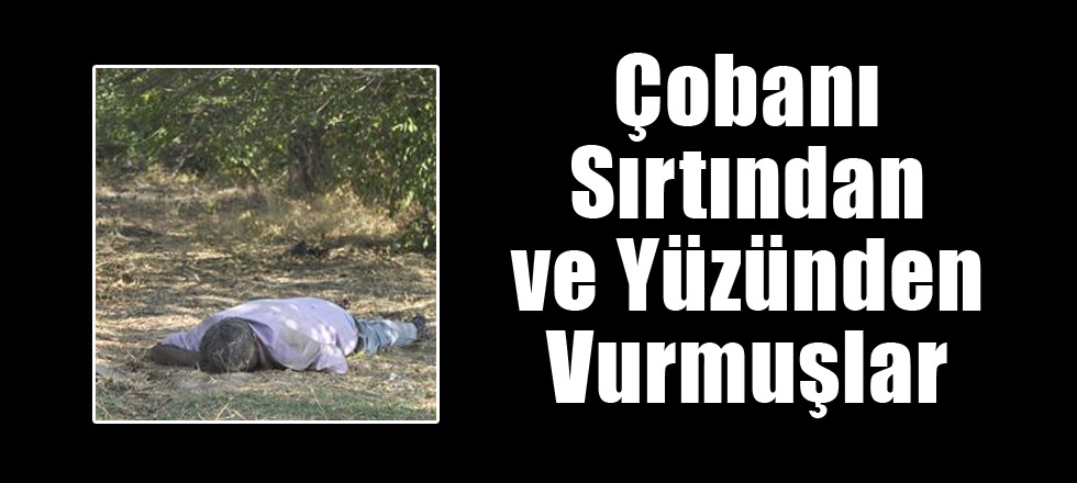 Çobanı Sırtından ve Yüzünden Vurmuşlar