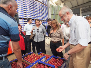 YBEM’den Ulusal Aile Danışmanlığı Çalıştayı