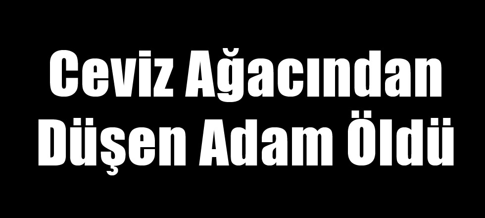 Ceviz Ağacından Düşen Adam Öldü