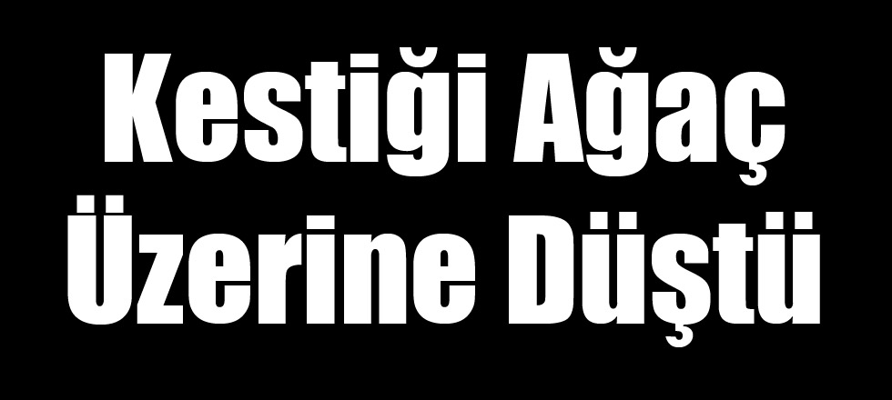 Kestiği Kavak Ağacı Üzerine Düştü