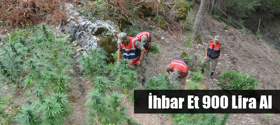 İhbar Et 900 Lira Al