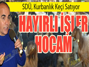 Hayırlı İşler Hocam