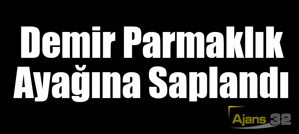 Demir Parmaklık Ayağına Saplandı