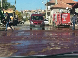 Gelendost'ta Kurban Kesim Rezaleti