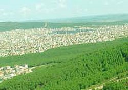 Isparta'da 2-B Arazileri Satışa Çıkarılıyor