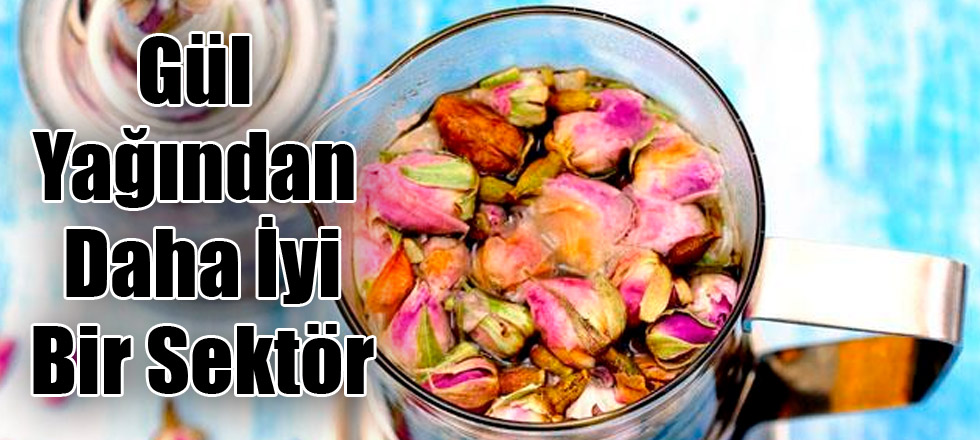 Gül Yağından Daha İyi Bir Sektör