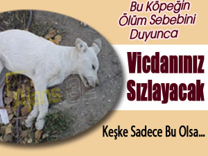Vicdanınız Sızlayacak