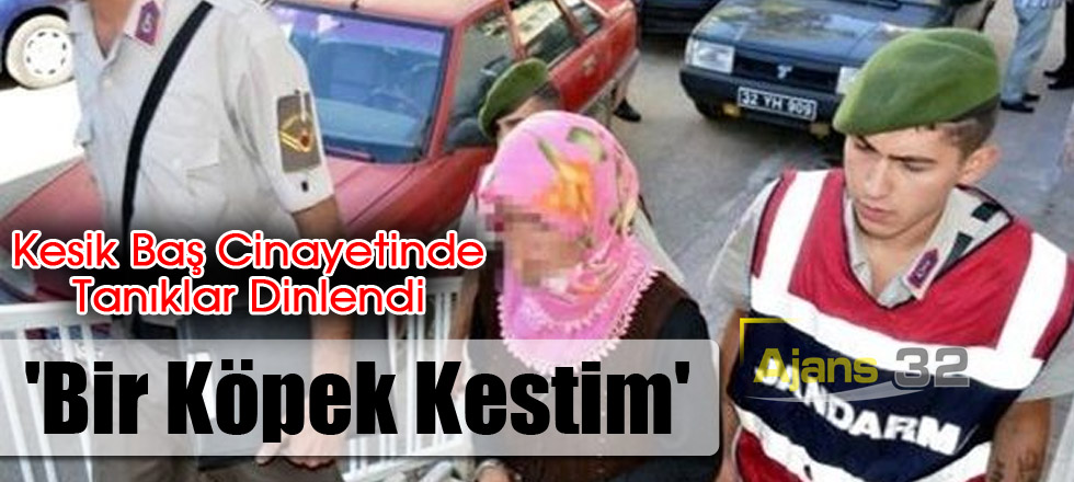 'Bir Köpek Kestim'